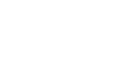 Chip Logo